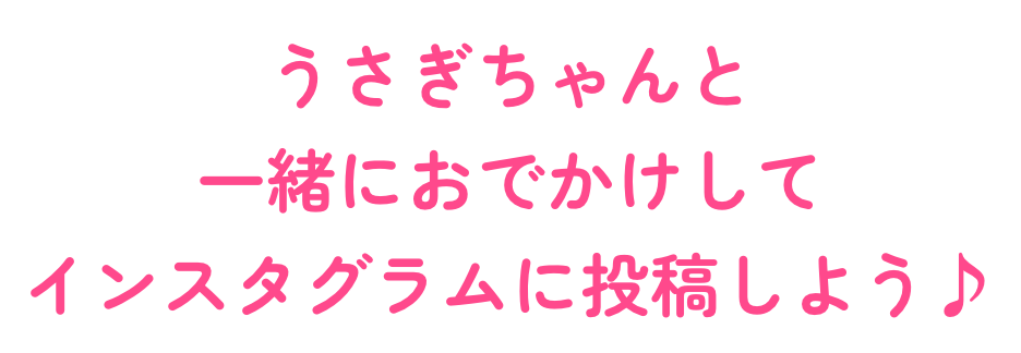 うさぎちゃんと一緒におでかけしてインスタグラムに投稿しよう♪